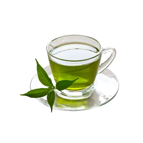 Green Tea export quality